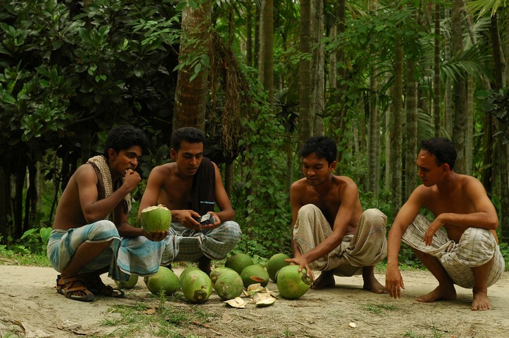 Bagerhat, degustacja kokosów (Bangladesh 2008)